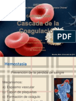 cascadadecoagulacin-120315183232-phpapp01