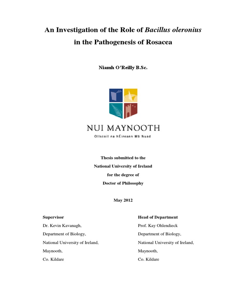 Sarup thesis day 2012 08 picture