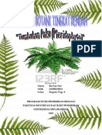 Download tumbuhanpakubyIndriRahmawatiSN177335464 doc pdf
