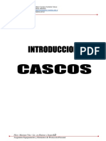 Intro2 Cascos 2013