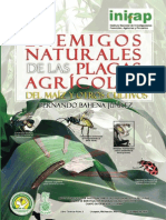 Enemigos Naturales de Las Plagas Del Maíz - Bahena