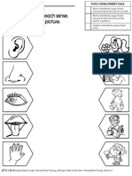 Pupil's Development Scale - Identify Senses & Match Pictures