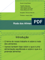 Roda Dos Alimentos