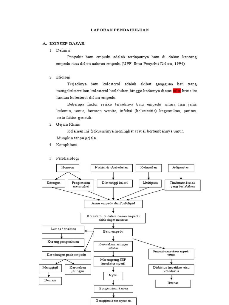 Laporan Pendahuluan Penyakit Batu Empedu