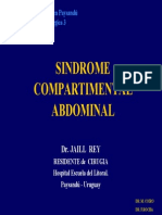 sindrome_compartimentalpy2006