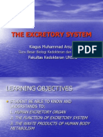 Excrretory System