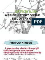 A Brief History On The Discovery of Photosynthesis