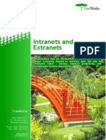 Intranets and Extranets (TreeWorks white paper)
