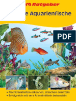 RG Gesunde Aquarienfische D