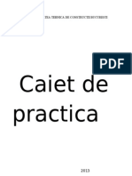 Caiet de Practica Vara