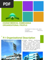 CMZ ORGANIZATIONAL PROFILE