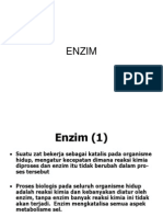 ENZIM2