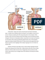 Proses Terjadinya Pernapasan