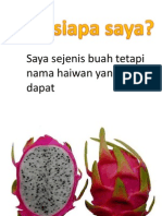 hari ni KA