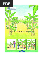 Como Produzir Banana