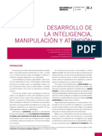 Desarrollo de La Inteligencia