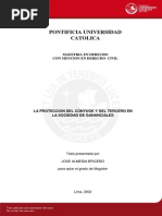 Almeida Briceno Jose Proteccion Conyuge