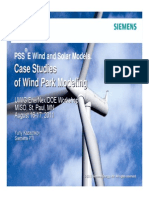Case Studies of Wind Park Modeling