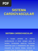 Sistema Cardiovascular 1