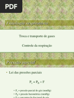 Sistema Respiratório 2