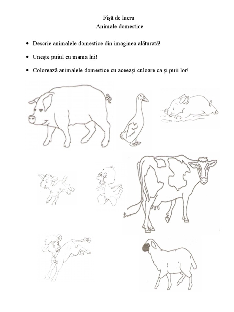 0 Fisa de Lucru Animale | PDF
