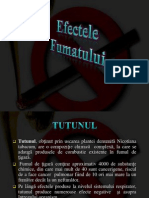 Efectelefumatului 2003 111216003948 Phpapp01