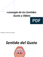 Gusto y Olfato