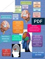 Hemisferios cerebrales.pptx