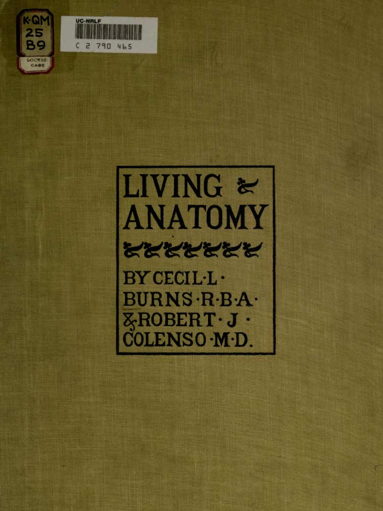 Livinganatomy | PDF | Lower Limb Anatomy | Musculoskeletal System