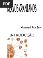 006 - N.cranianos 1
