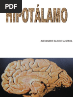 014 - Diencéfalo 2