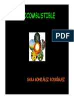 Biocombustible - Sara Gonzalez Rodriguez