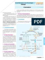 c3 Curso A Prof Biologia