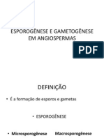 Esporogênese e Gametogênese em Angiospermas