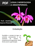 Histologia e Morfologia Das Angiospermas