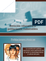 Atención Educativa A Poblaciones Vulnerables