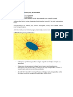 6 Aktifitas Bakteri Menguntungkan