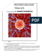 Biologia-PREU-Guía 5-Meiosis y Gametogenesis
