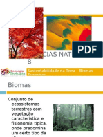 Power Point Nr. 2 - Biomas