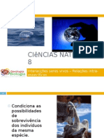 Powerpoint nr. 3 - Interacções seres vivos -Factores do Ambiente - relações intra-específicas