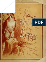 Alphabet of Birds  