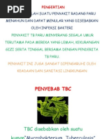 Contoh lembar balik