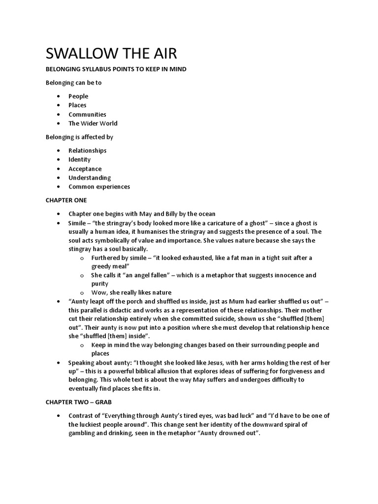 Swallow the air essay image