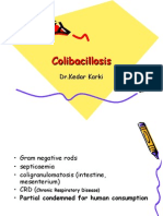 Colibacillosis