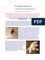Aedes Aegypti and Dengue Fever