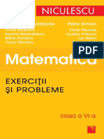 Matematica. Exercitii Si Probleme, Clasa A VI-A-2