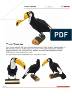 Toco Toucan Papercraft Pattern - Build a South American Rainforest Bird