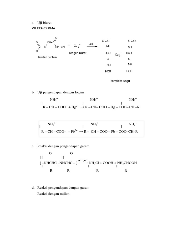 Reaksi Uji Protein Pdf