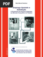 emprego apoiado e satisfação
