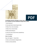 Structurile Fiintei